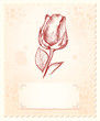 Vintage background with rose Vintage background with rose