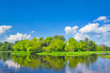 Landscape with flood waters of Narew river, Poland. Clean space