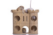 gerbils in wohngemeinschaft, gerbils living in community