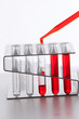 Photo: Test-tubes Test-tubes