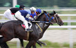 Horse racing.
