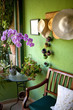 Maison, décoration, intérieur, salon, immobilier, habitat, vert Maison, décoration, intérieur, salon, immobilier, habitat, vert