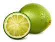 Vector fresh lime Vector fresh lime