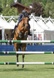 Horse jumping