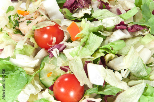 Photo: Salat - Makroaufnahme Salat - Makroaufnahme