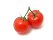 Red Tomatoes