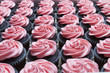 Pink chocolate cupcakes