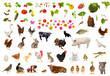 farming