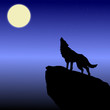 The wolf howls on the moon