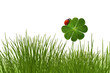 Foto: Klee 10 Klee 10