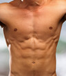strong torso