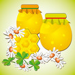 Honeycombs in flowers Honeycombs in flowers