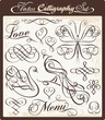 Vector Calligraphy Set Vector Calligraphy Set