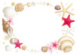 Seashell frame