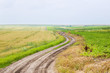 Country road
