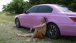 Man and Car