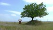 Peace in Nature