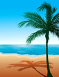 Beach Background 9