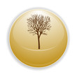Boule, bouton, sphère, reflet, transparent, picto, logo, icône Boule, bouton, sphère, reflet, transparent, picto, logo, icône