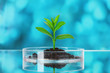 test tube with plants on blue background test tube with plants on blue background