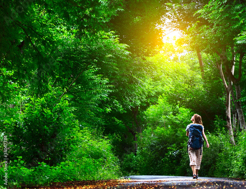 Photo: Forest Forest