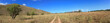 Panoramic Mountain
