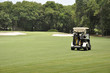 golf cart golf cart