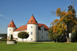 The Rače Castle, Slovenia The Rače Castle, Slovenia