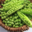 Panier de petits pois frais