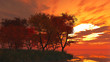 Coucher de soleil