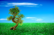 Albero nel verde Albero nel verde