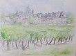 vignoble
