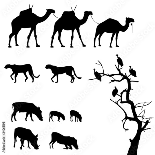 Vector: African animals, vector silhouettes African animals, vector silhouettes