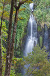 cascade cascade