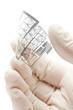 Photo: Flexible printed electric circuit Flexible printed electric circuit