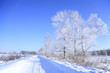 雪道と樹氷