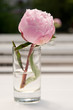 Peonie