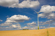 Windrad und Kornfeld Windrad und Kornfeld