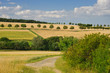 Landschaft im Taunus im Sommer