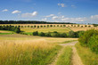 Landschaft im Taunus im Sommer
