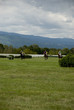 courses de chevaux