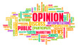 Opinion