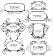elegance vintage frames