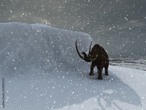 Illustration: Woolly ice age mammoth in blizzard Woolly ice age mammoth in blizzard