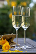 Zwei Gläser Sekt