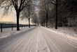 Winter landscape