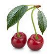 Ripe cherry isolated on white background