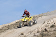 quad 115