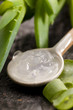 aloe vera juice with fresh leaves aloe vera juice with fresh leaves