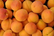 abricots